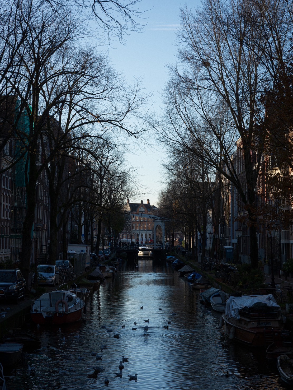 Scenic river in a city